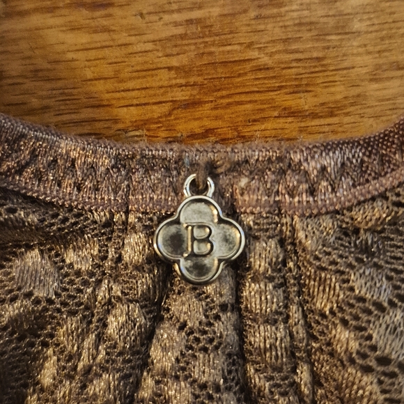 Breezies Underwire Support Bra - Cocoa (Sz 40C) Lace Mesh Fully Lined No Padding - Picture 3 of 8